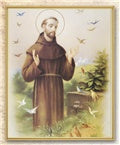 St Francis